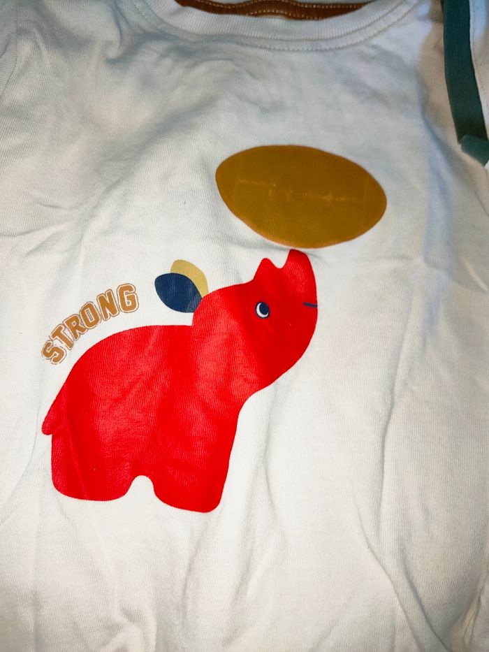 Lot t-shirt manches courtes 18 mois