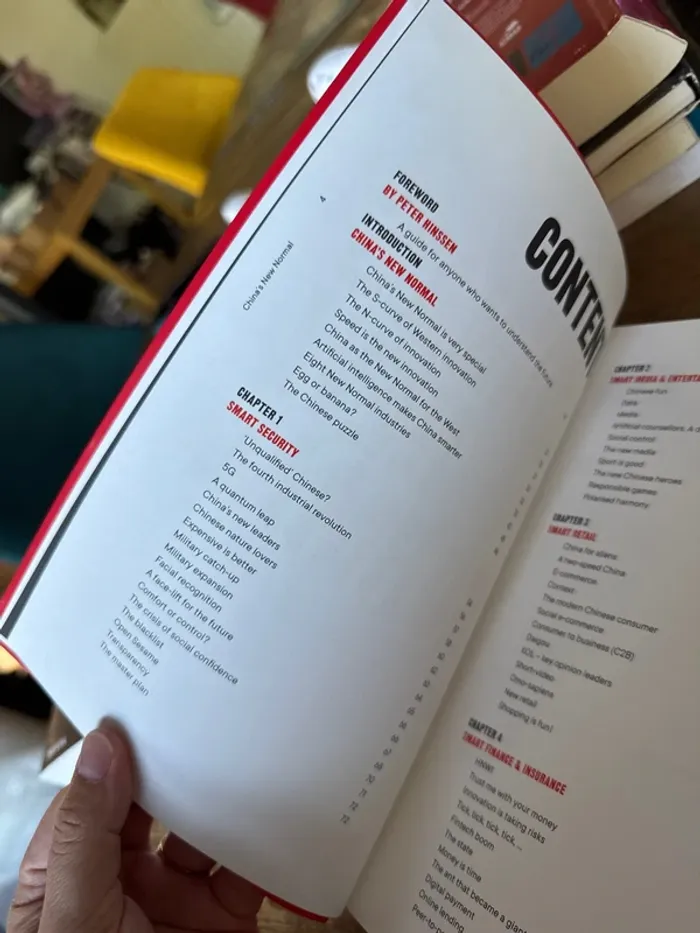 Livre china ´ s new normal - photo numéro 6