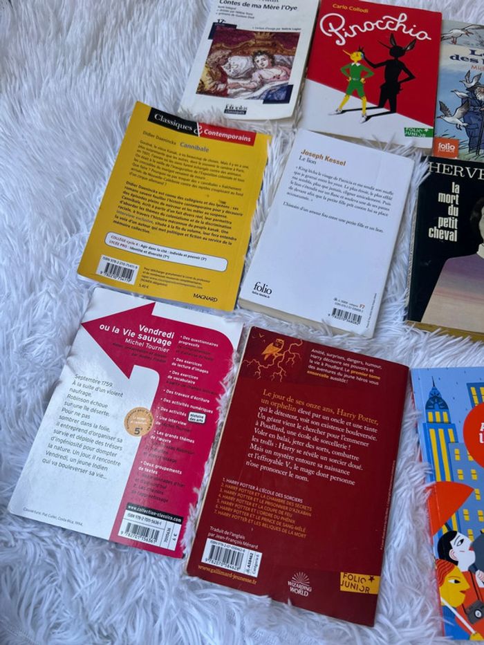 Lot de livres classique, collège et lycée - photo numéro 5