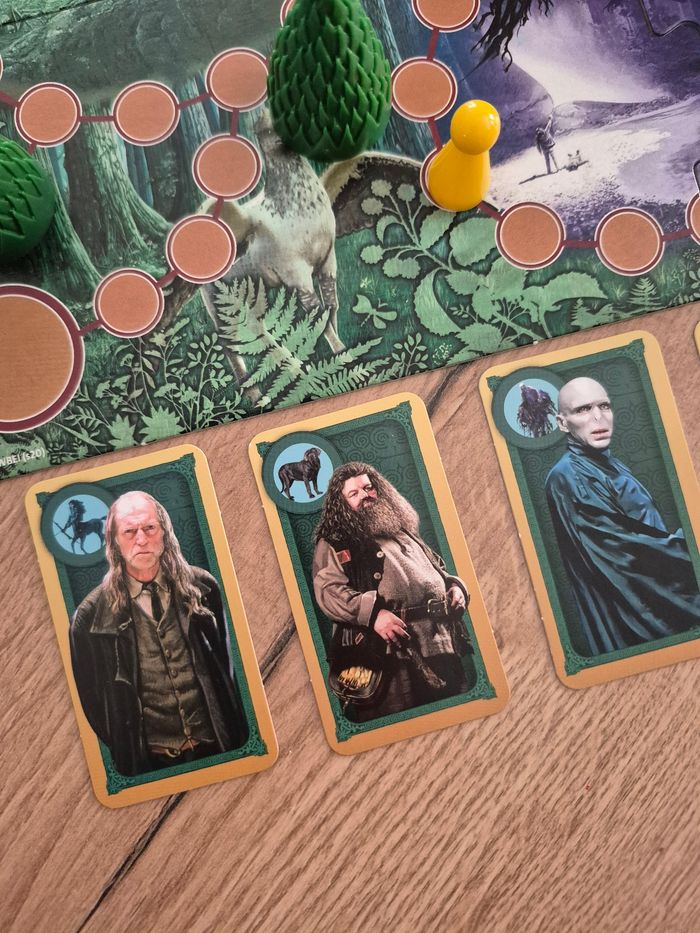 Jeu de société Harry Potter Sagaland - photo numéro 4