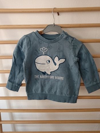Pulls baby club baleine