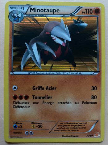 Carte Pokémon rare Minotaupe 110PV holo 30/30 TBE