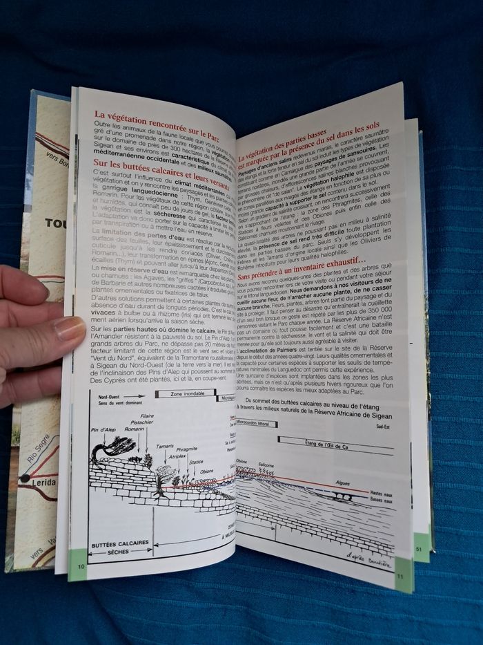 RESERVE AFRICAIN DE SIGEAN - photo numéro 4