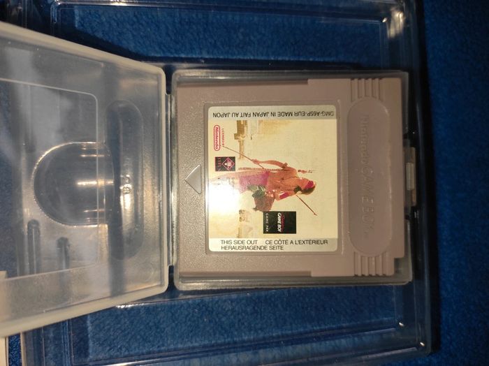 Un indien dans la ville Nintendo GameBoy - photo numéro 7