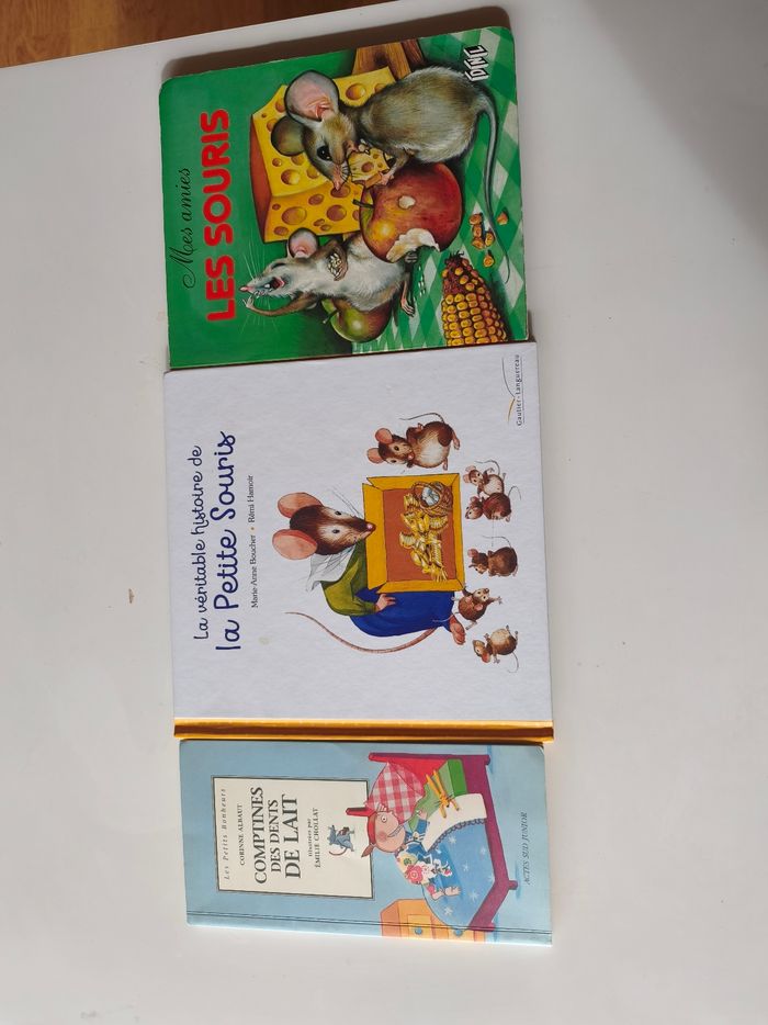Lot de 3 livres sur la petite souris