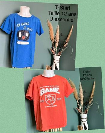 Lot de t-shirt  taille 12 ans