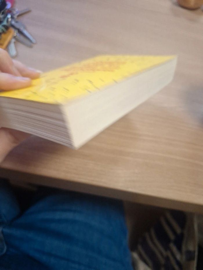 Livre roman familiale humour - photo numéro 5