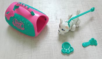 Chien Pet parade