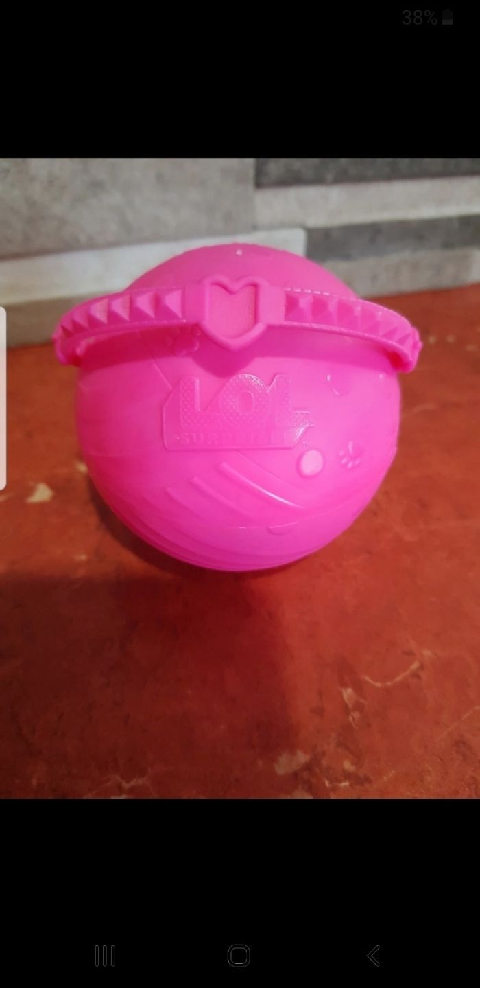 Pets animals Hooper D.O.G - photo numéro 5