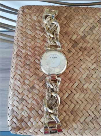 Montre dorée Akribos