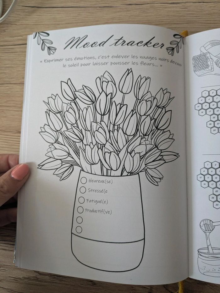 Agenda/Bullet Journal de luxe, perpétuel 12 Mois - photo numéro 4