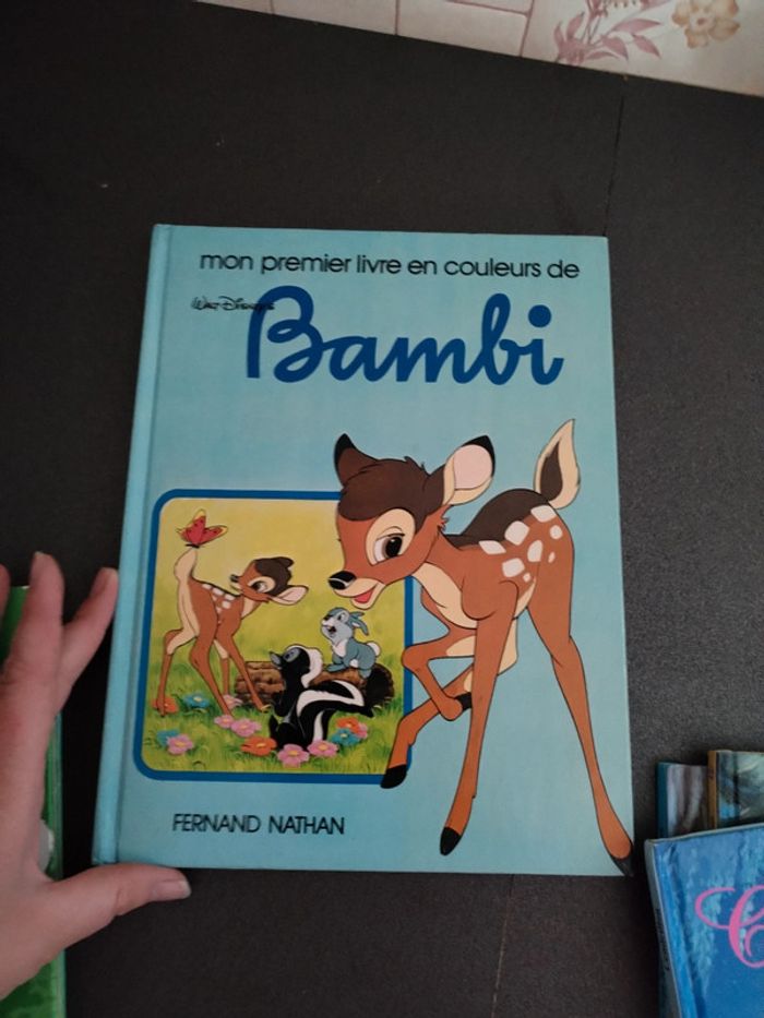 Lot livres disney - photo numéro 11