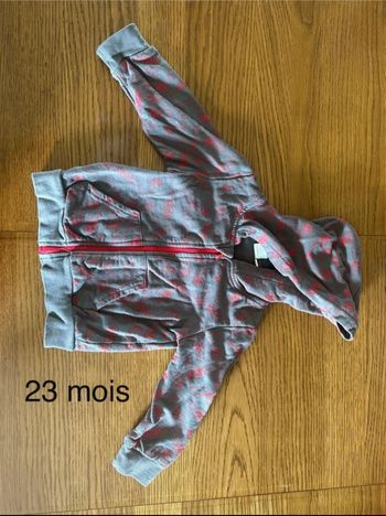 Veste