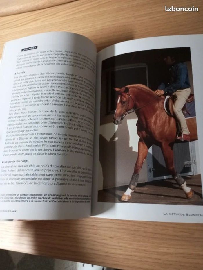 Livre le débourrage de Nicolas Blondeau - photo numéro 3