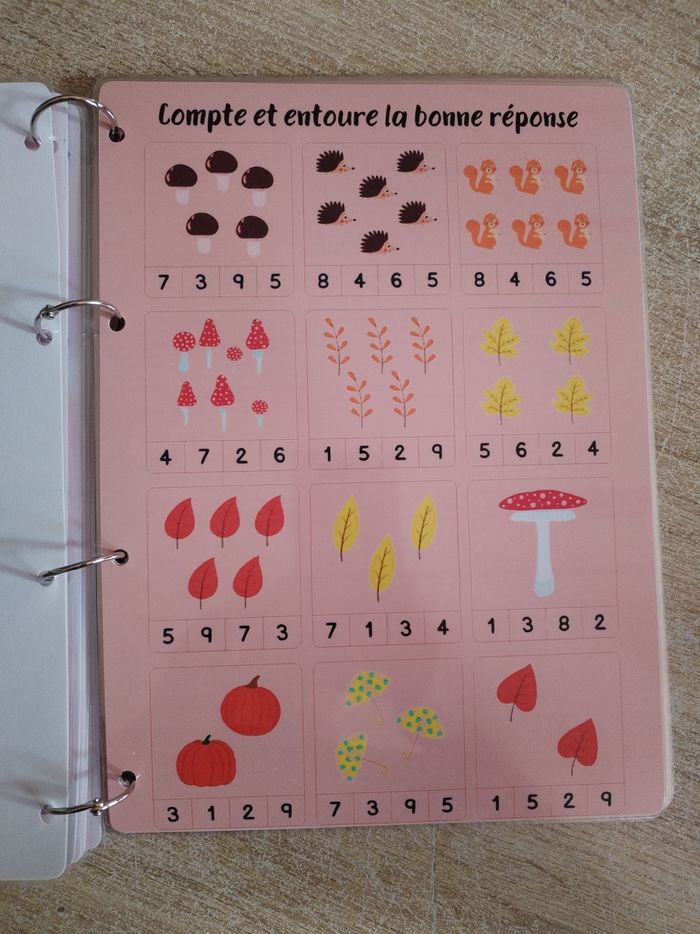 Livre d'activités d'automne - photo numéro 9