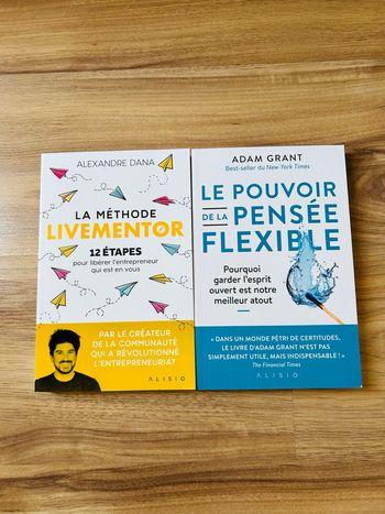 Lot 2 livres Entrepreneuriat & Mindset Édition Alisio