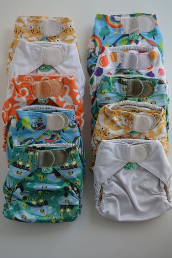Lot de 10 couches Peenut Wrap TotsBots