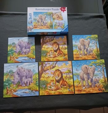 3 Puzzles Les grands animaux sauvages de la savane