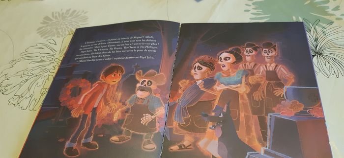 Livre  coco - photo numéro 2