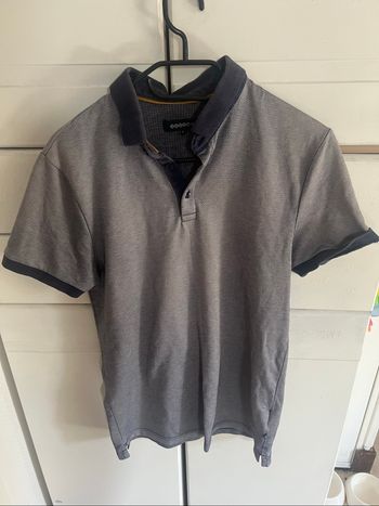 Polo bonobo
