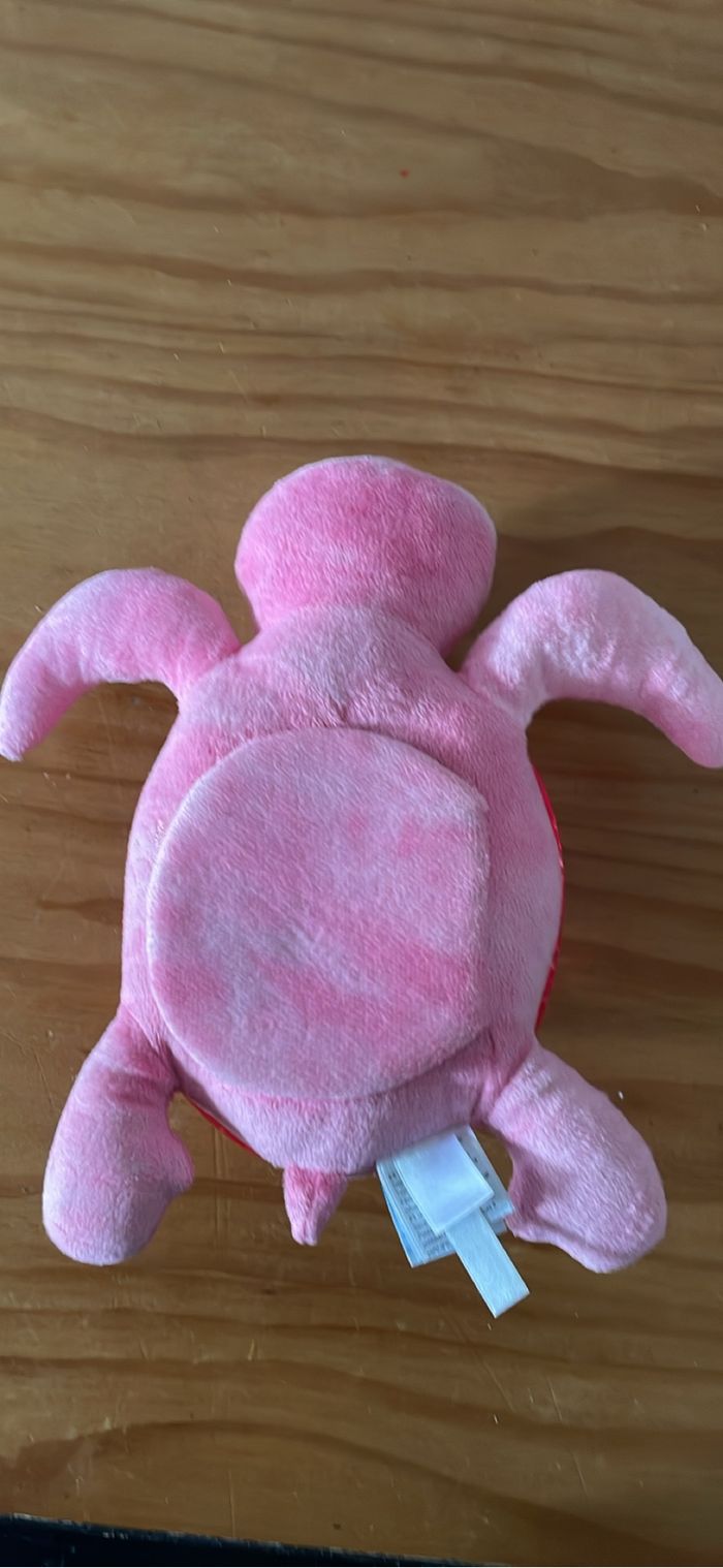 Tranquil turtle - photo numéro 4