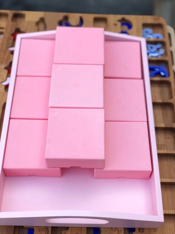 Matériel montessori pour dictée muettes