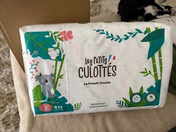 Couches les petits culottés