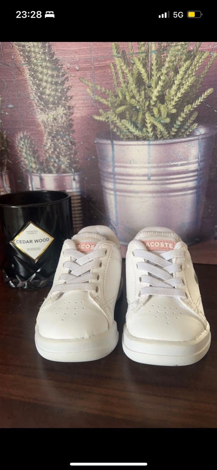 Basket Lacoste - photo numéro 2