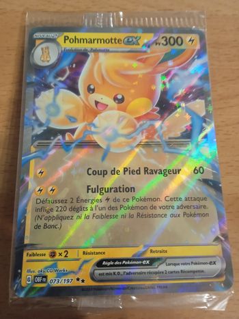 Pohmarmotte ex OBF 073/197 Scellé