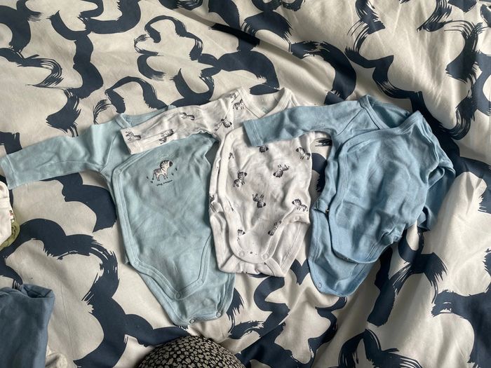 Lot 3 bodies
