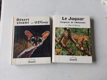 Lot de 2 livres Disney vintage nature