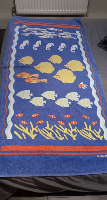 Serviette de plage Hillary Vermont
