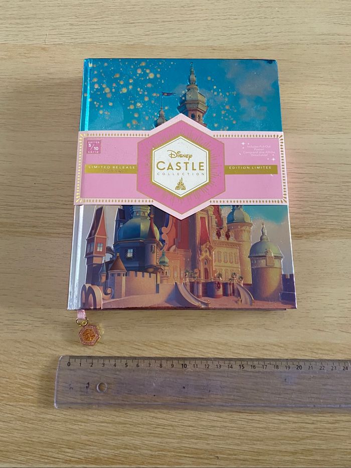 Carnet cahier collection disney princesse raiponce Rapunzel castle chateau tangled édition limitée