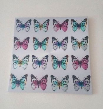 Toile papillons 60*60cm
