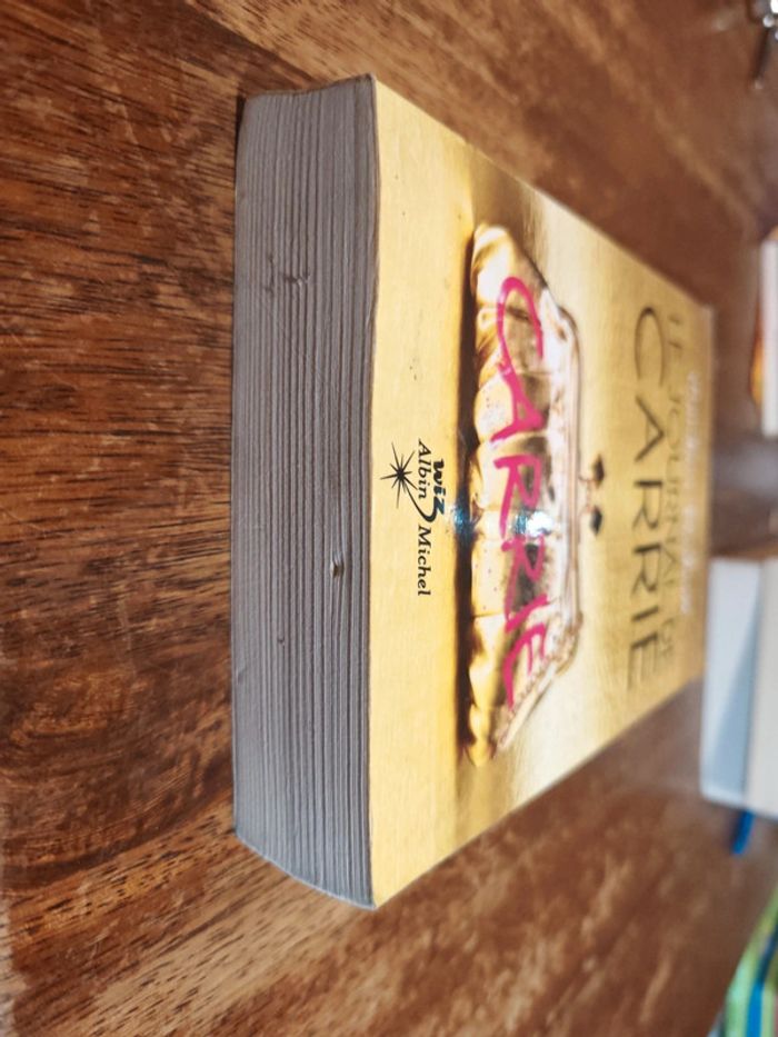 Le journal de Carrie - photo numéro 2