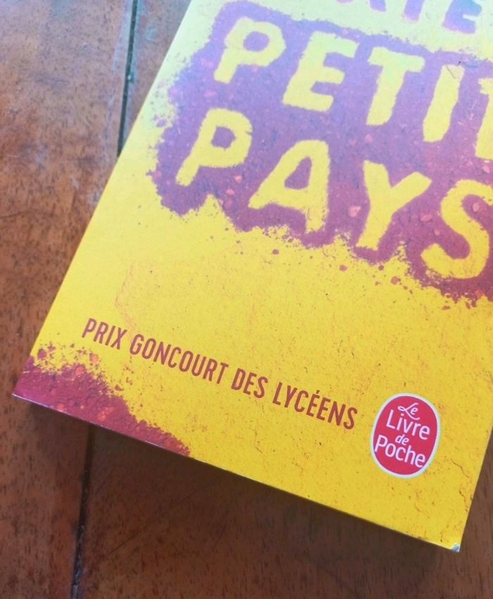 Livre "Petit Pays" de Gaël Faye neuf - photo numéro 2