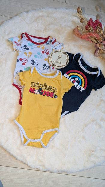 Bodie Disney 9 mois 