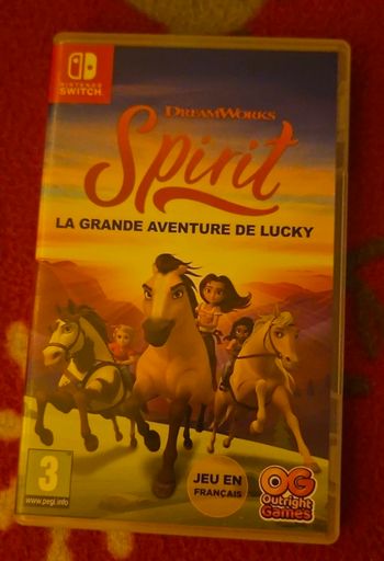Jeux nintendo switch spirit