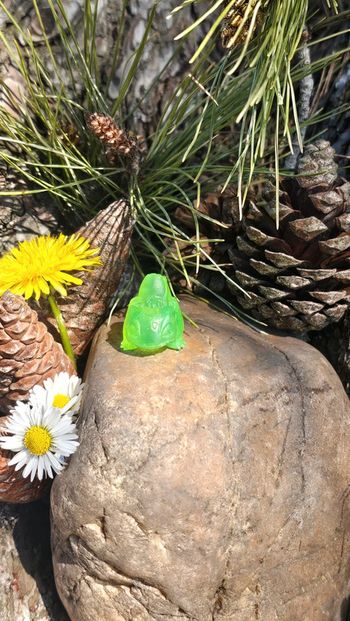 Super petite figurine Pokemon Nintendo transparente Bulbizarre