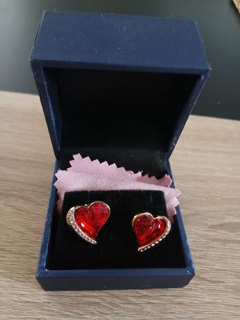 Boucles d'oreilles CDE