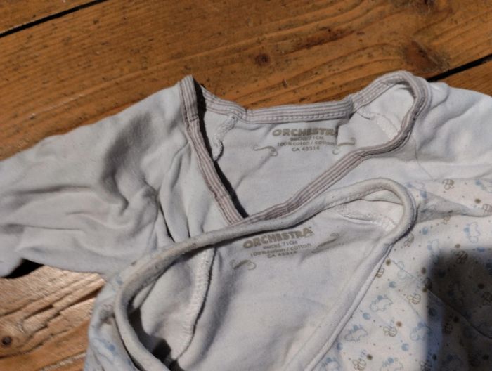 2 bodies Orchestra - photo numéro 2