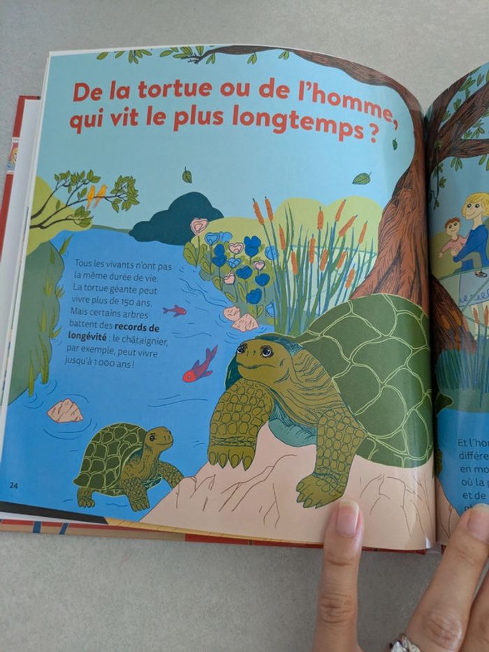 Livre collection Mes p'tits docs La vie, la mort - photo numéro 3