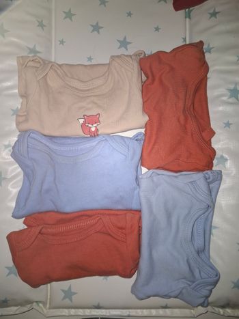 Lot body