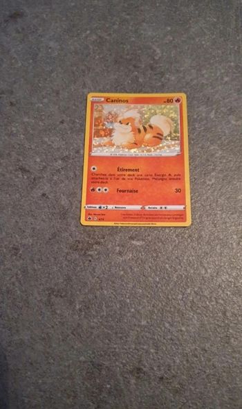 Carte Pokémon Caninos