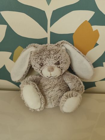 Doudou lapin tex