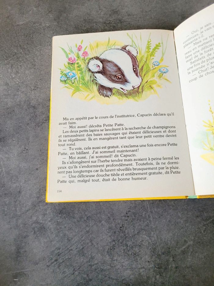 Livre 📖 "un lutin m'a raconté" - photo numéro 3