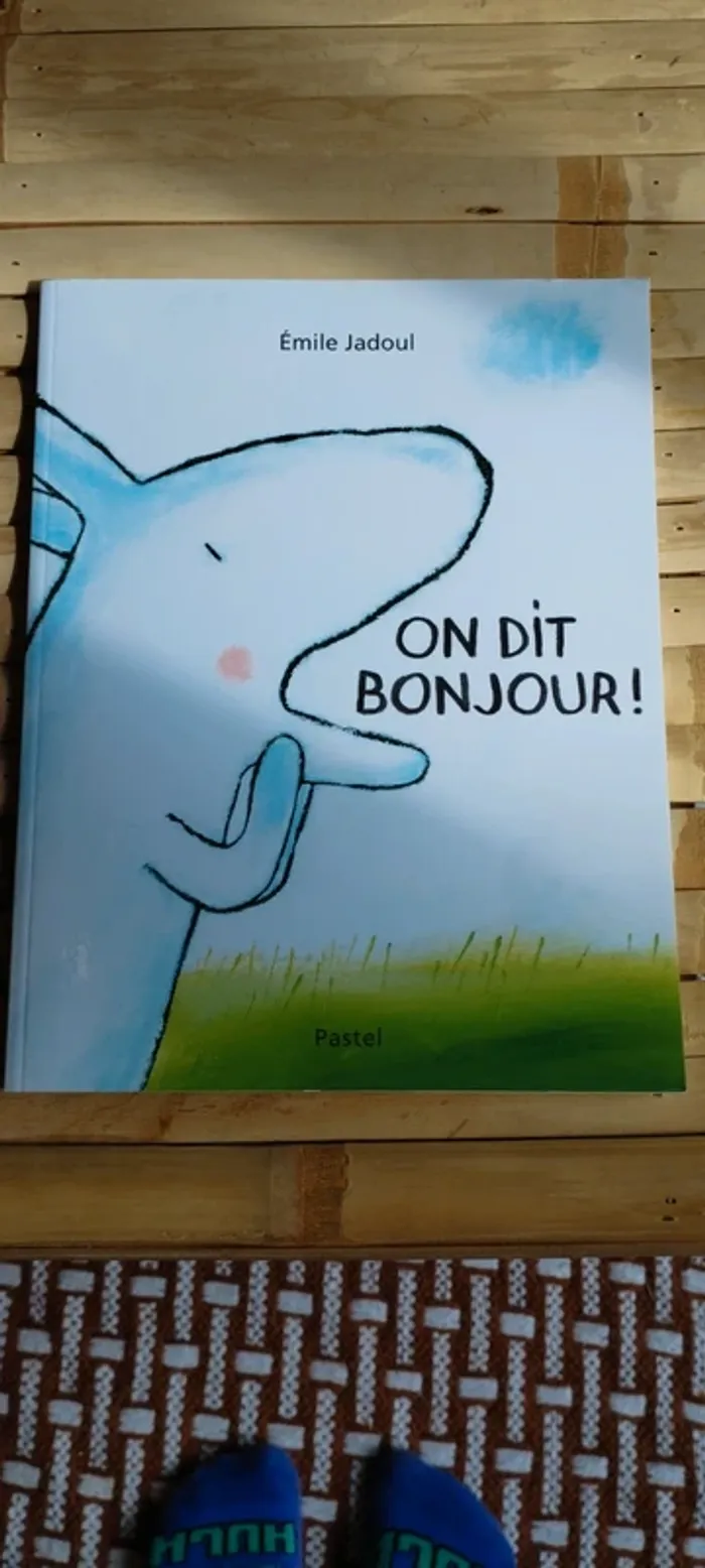 Livre On dit bonjour