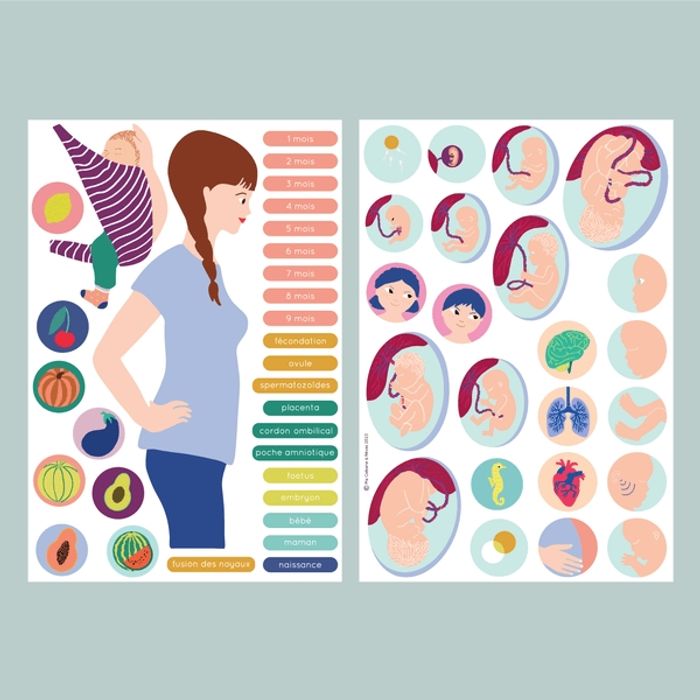 Magnets 9 mois grossesse