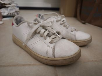 Basket stan Smith