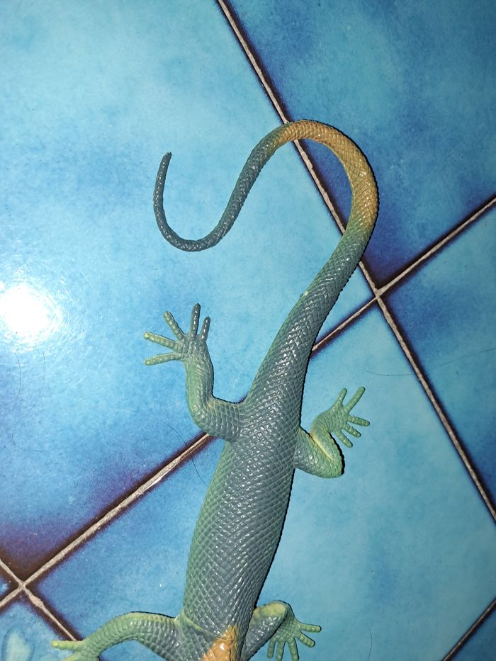Lezard - photo numéro 2